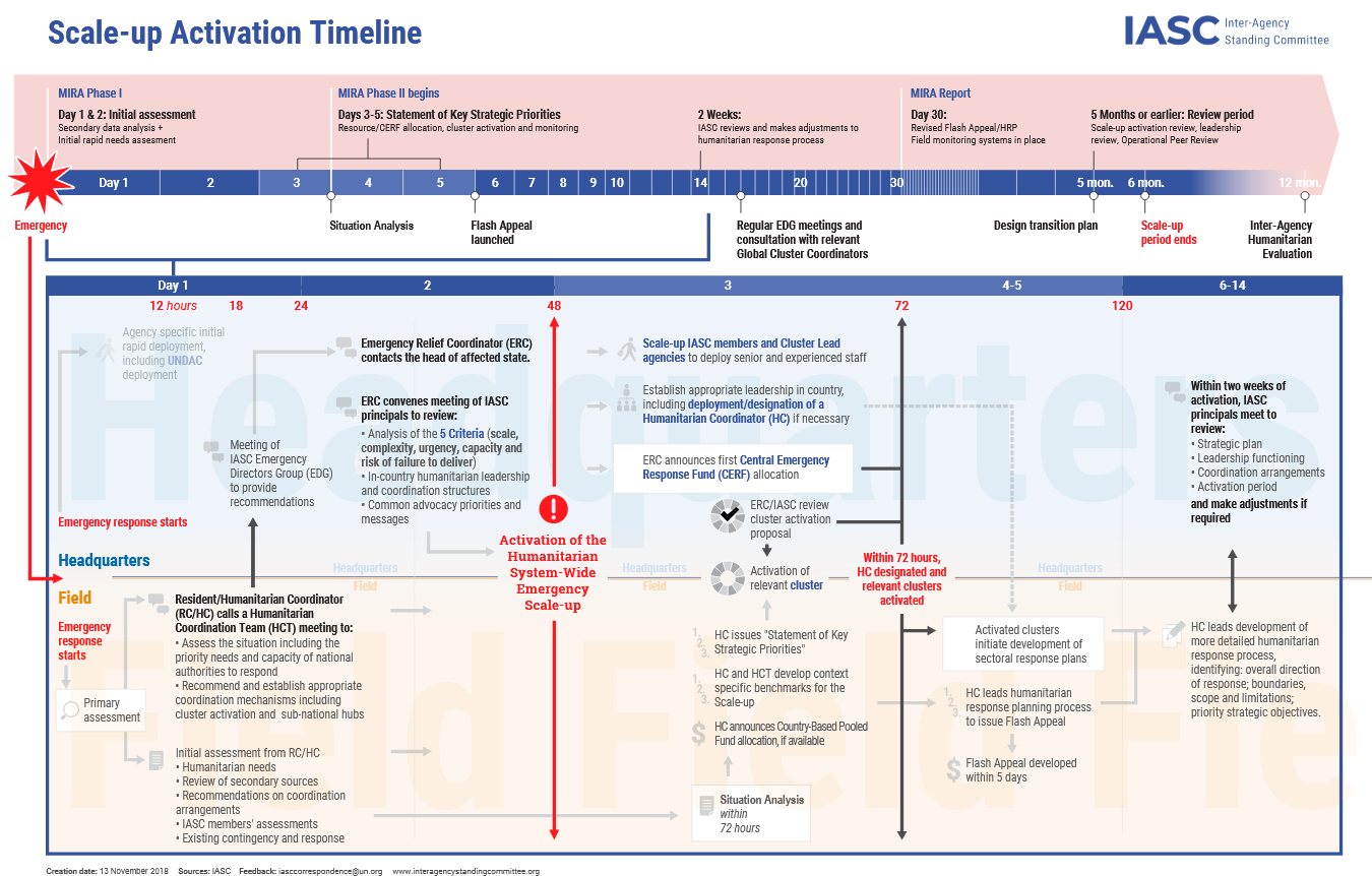 Scale-up Activation Timeline