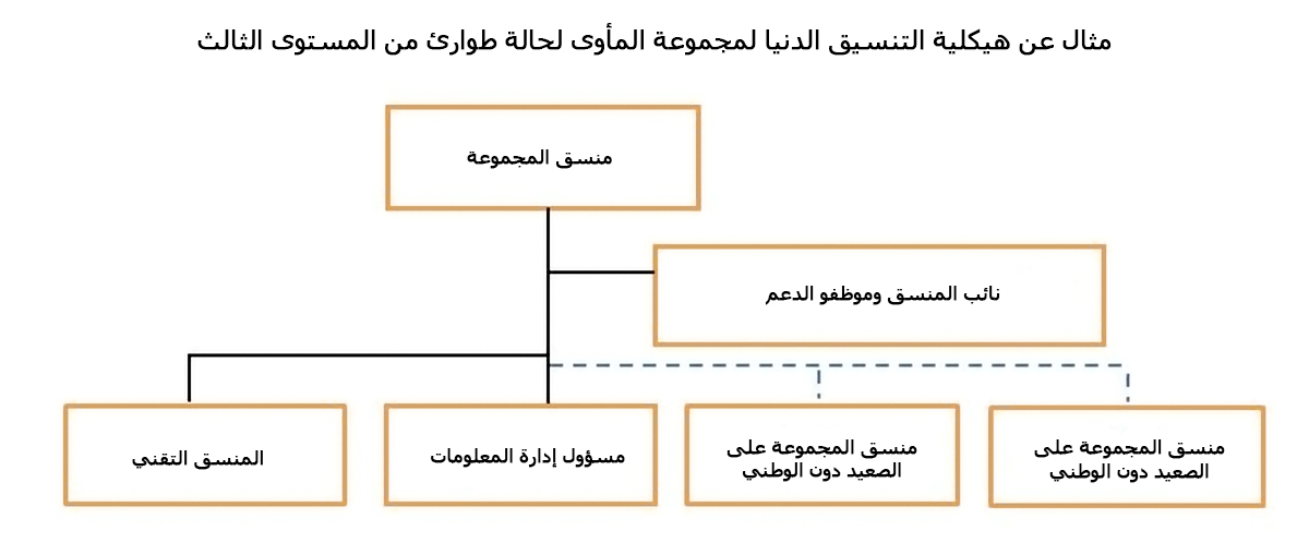 مثال عن هيكلية التنسيق الدنيا لمجموعة تنسيق المخيم وإدارته في حالة طوارئ من المستوى الثالث على نطاق المنظومة
